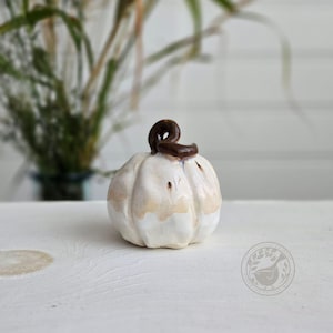 May include: A small, hand-sculpted ceramic pumpkin featuring a glossy white glaze with subtle beige and brown accents. The pumpkin has a distinct, dark brown curled stem at the top and a rounded, ribbed body with visible indentations.