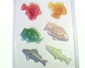 Fish assortment soap/candy mold