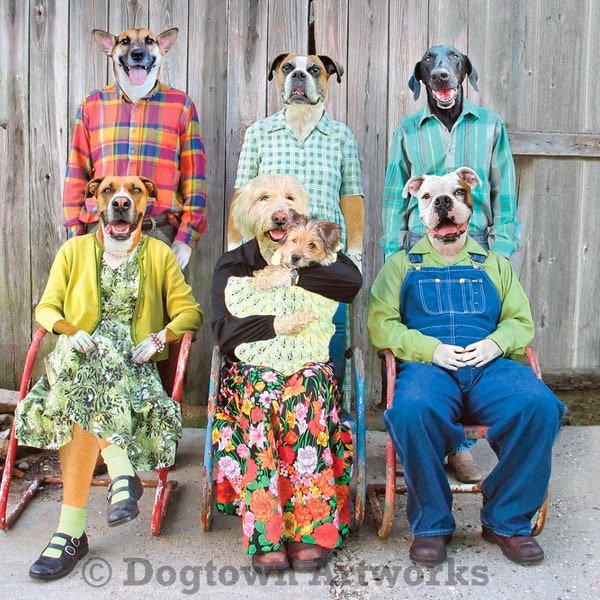 Kinfolk, large funny humorous original photograph of boxer dogs and black lab dogs wearing clothes in family portrait