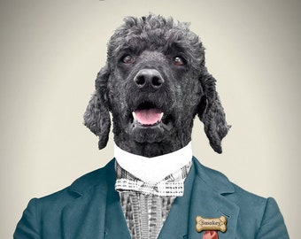 standard poodle clothes