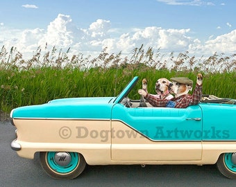 Going Places, funny original large photograph of Boxer dog couple wearing vintage clothes cruising in vintage Nash Metropolitan convertible