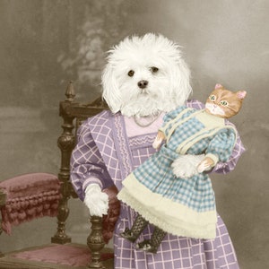 Playtime, large original funny photograph of a Bichon Frise Maltese dog wearing vintage dress and holding a cat doll