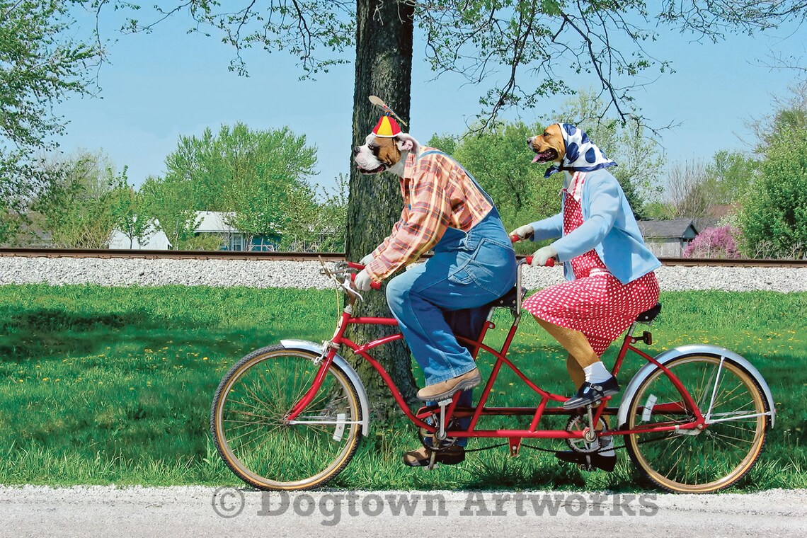 Bicycle Built for Two funny large original photograph of two | Etsy