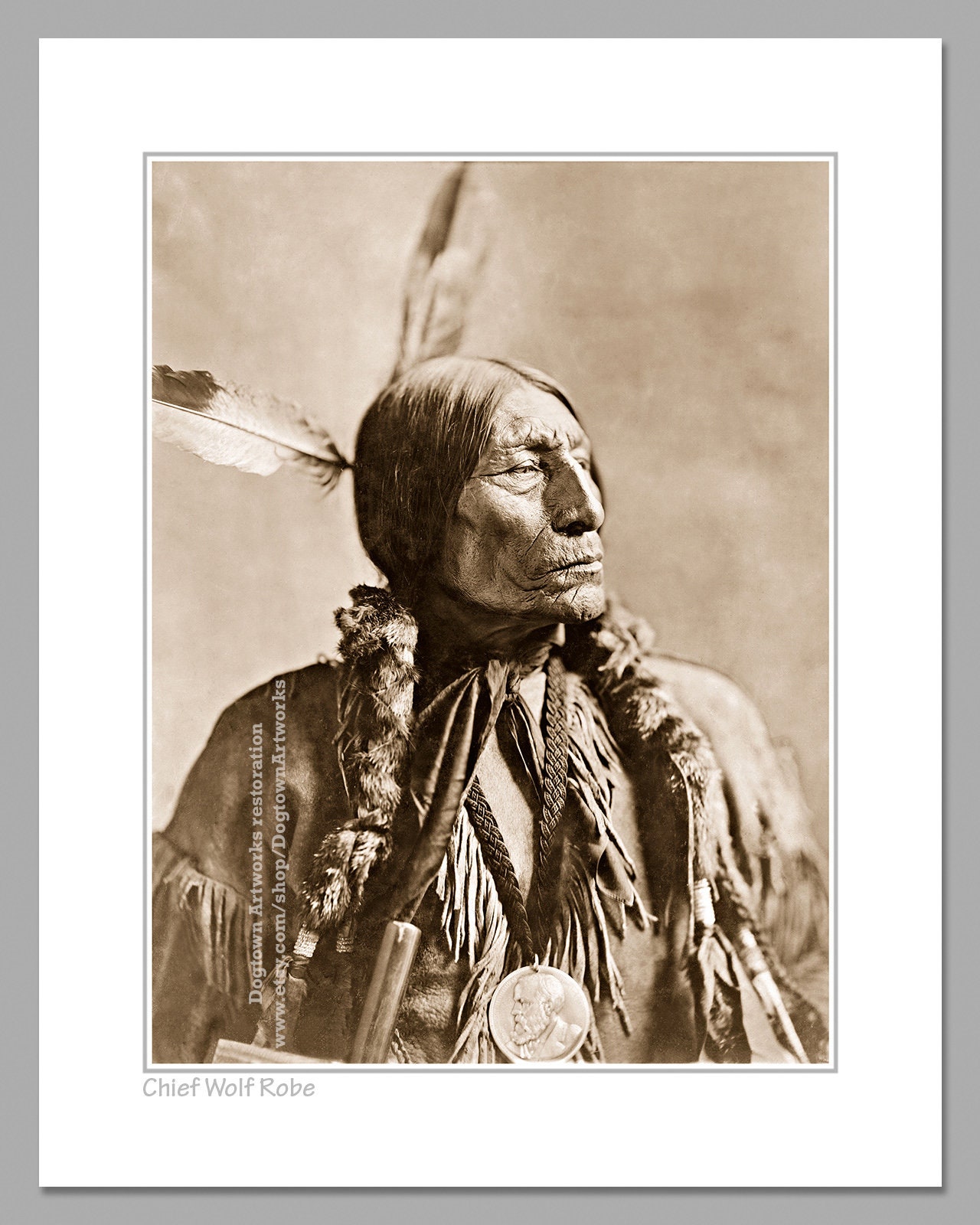 Chief Wolf Robe Chief Wolf Robe Photograph, Southern Cheyenne Indian Warrior, Restored ...