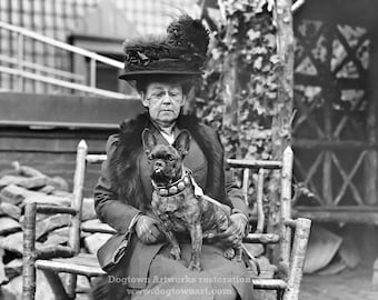 Vintage Französische Bulldogge Fotografie: Restaurierte Hundeausstellung Druck (Digital Download)