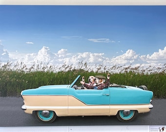 Going Places, Grande toile wrap mettant en vedette deux chiens boxer portant des vêtements et conduisant Nash Metropolitan Car 20X30 Original Artwork Road Trip