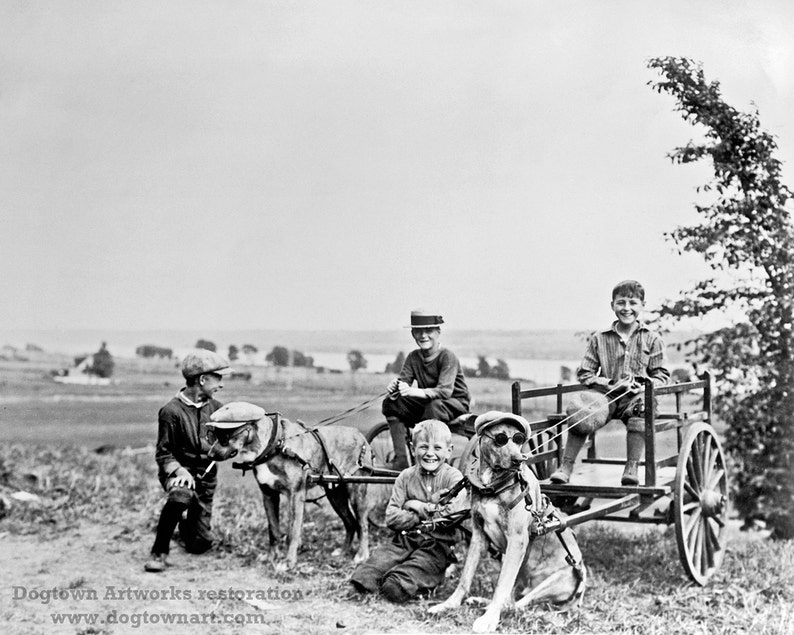 K&ouml;nnte beinhalten: Ein Schwarzwei&szlig;foto von vier Kindern und einem Hund, der einen Karren zieht. Die Kinder sind in Kleidung aus den fr&uuml;hen 1900er Jahren gekleidet. Der Hund ist eine gro&szlig;e Rasse mit H&auml;ngeohren. Der Karren ist aus Holz und hat ein einzelnes Rad.