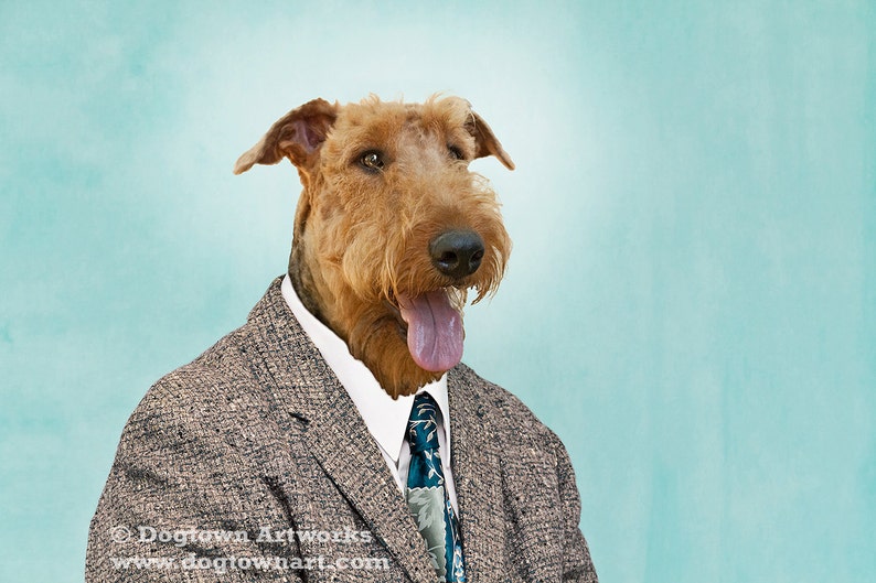 large airedale