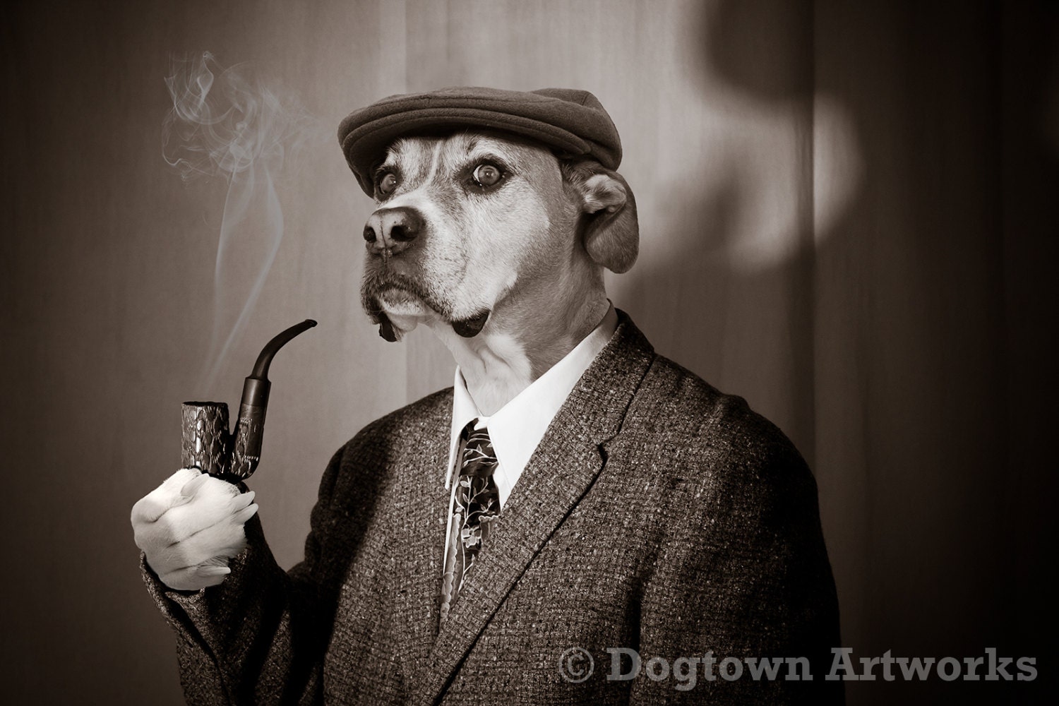 boxer dog dressed up