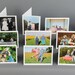 Brenna reviewed Variety Pack, Pick Any 5 Favorite Photos for a Custom 5 X 7 Greeting Card Pack with Envelopes