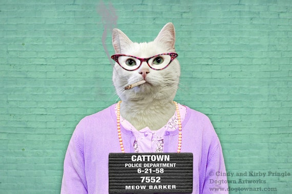 Busted, funny humorous large original photograph of a bad cat wearing  vintage dress and sweater posing for her mug shot at the Cat-town Jail