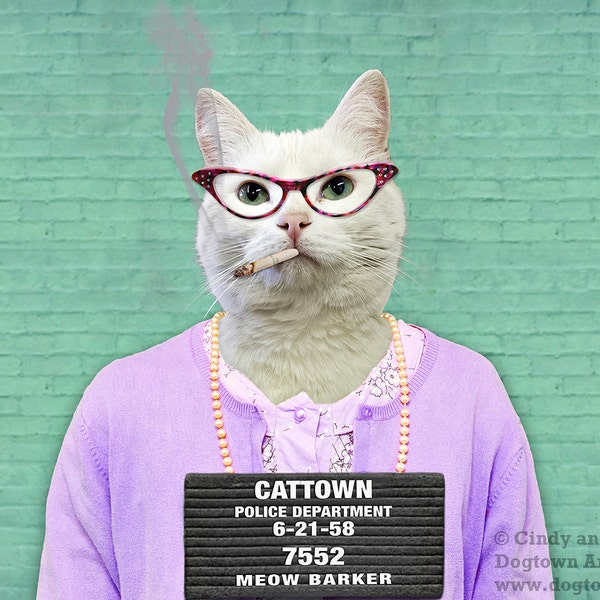 Busted, funny humorous large original photograph of a bad cat wearing vintage dress and sweater posing for her mug shot at the Cat-town Jail