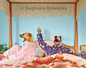 Yawn, funny large original photograph of Boxer dogs wearing vintage pajamas and yawning as they get out of bed
