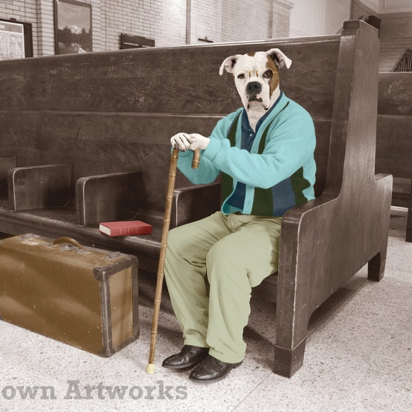 Homeward Bound, large original photograph of white boxer dog wearing vintage clothes waiting for train at Amtrak train station