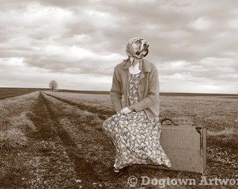 Long Road Home, large original photograph of Boxer dog wearing vintage dress waiting by a lonely roadside hitchhiking