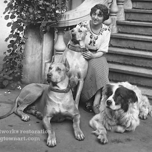 Big Dog Lover, Restored Vintage Photograph of European Woman with Great Dane and Saint Bernard 1920 Dogs Digital Download