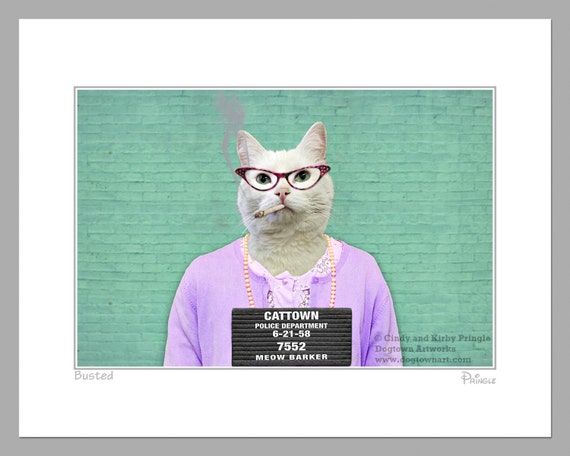 Busted, funny humorous large original photograph of a bad cat wearing  vintage dress and sweater posing for her mug shot at the Cat-town Jail