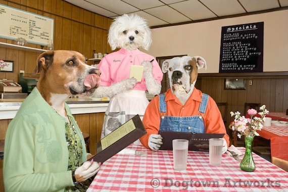 all dressed up like a dog's dinner Funny Dog Diner Photograph: 