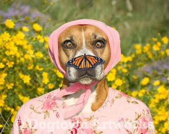 Butterfly Nose, large original photograph of boxer dog wearing flowered pink sweater with a monarch butterfly on her nose