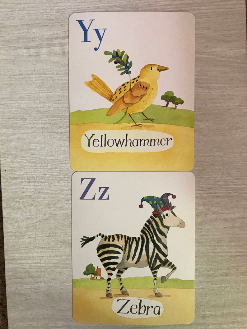 May include: Two alphabet flashcards with illustrations. The first card shows the letter Y with a yellow bird called a Yellowhammer. The second card shows the letter Z with a zebra wearing a jester's hat.