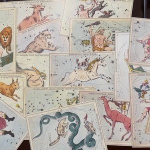 U Pick the Box of Stars Set of 4 - Night Sky Myths and Legends Catherine Tennant Bulfinch Press - Consellations Retro Prints ~ 7.75&quot; x 5.5&quot;