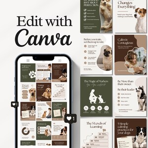 Modern dog Instagram templates featuring pet infographics, dog training tips, grooming and walking content, aesthetic posts, pet Facebook graphics, and UGC designs for pet shops, trainers, groomers, and dog walkers.