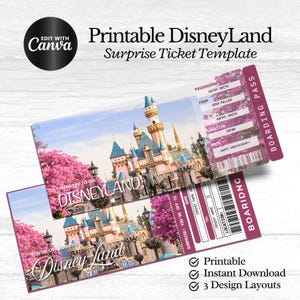 Printable Disneyland Ticket, Disneyworld Ticket, Editable Ticket, Surprise Reveal Ticket Gift, Instant Download, Theme Park ticket, Canva
