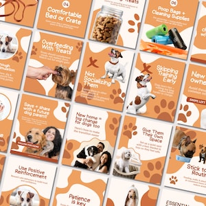 May include: A series of orange and white cards offering dog care advice. The cards display images of dogs, treats, and cleaning items. Text provides guidance on training, socialisation, and creating a comfortable space for dogs. Metric measurements are used.