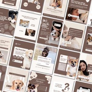 Puede incluir: Una colección de publicaciones en redes sociales con un esquema de color marrón y blanco, con imágenes de perros y texto sobre el cuidado de perros, servicios de paseo y salud de mascotas. Las publicaciones incluyen frases como "Nuestra promesa" y "Servicios de paseo de perros".