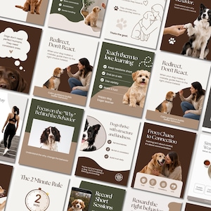 Dog pet paws Training coaching consultant Dog Trainer groomer business Editable CANVA Instagram Facebook social media posts templates, CANVA