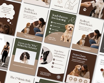 Dog pet paws Training coaching consultant Dog Trainer groomer business Editable CANVA Instagram Facebook social media posts templates, CANVA