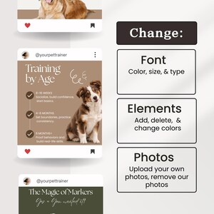 May include: A digital template for social media posts featuring a brown and white puppy, text reading Training by Age, and a list of developmental stages. To the right, three white rectangular boxes contain the text Change: Font, Elements, and Photos.