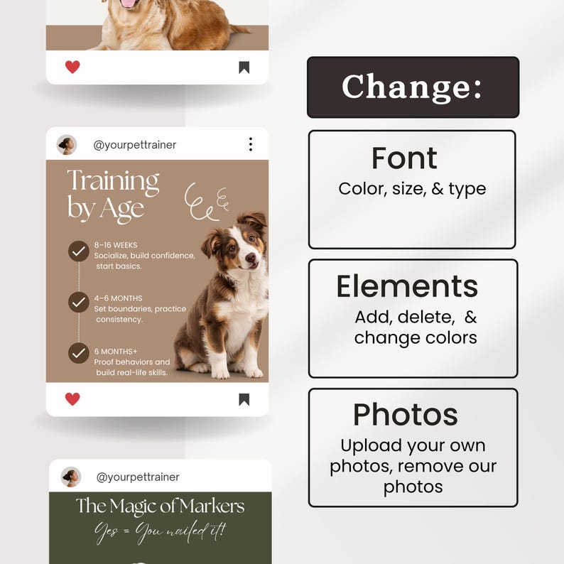 May include: A digital template for social media posts featuring a brown and white puppy, text reading Training by Age, and a list of developmental stages. To the right, three white rectangular boxes contain the text Change: Font, Elements, and Photos.