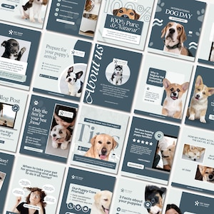May include: A collection of promotional materials for a pet shop, featuring various dog breeds. The materials include blog posts, informational cards, and advertisements with text like "International Dog Day" and "Our Puppy Care Promise."
