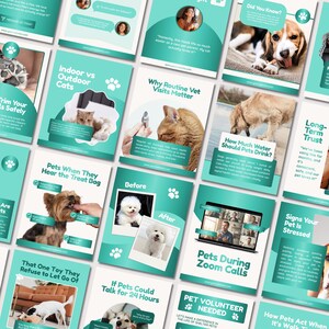 May include: A series of teal and white cards providing information about pets. Topics include indoor vs. outdoor cats, vet visits, pet water intake, and pet stress. Each card features images of pets and text.
