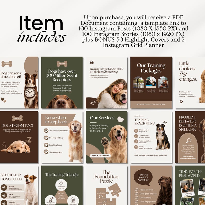 Modern dog Instagram templates featuring pet infographics, dog training tips, grooming and walking content, aesthetic posts, pet Facebook graphics, and UGC designs for pet shops, trainers, groomers, and dog walkers.