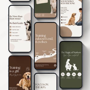 Modern dog Instagram templates featuring pet infographics, dog training tips, grooming and walking content, aesthetic posts, pet Facebook graphics, and UGC designs for pet shops, trainers, groomers, and dog walkers.