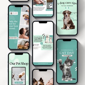 Editable pet care Instagram templates for veterinarians, pet shops, grooming businesses, and dog walkers, featuring cat and pet posts, UGC content, Canva designs, and dog walking templates.
