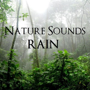 Könnte beinhalten: Eine üppige, grüne Regenwaldszene mit dem Text "NATURE SOUNDS RAIN". Das Bild zeigt dichtes Laub, hohe Bäume und eine neblige Atmosphäre, die ein Gefühl von Ruhe und natürlicher Schönheit hervorruft.