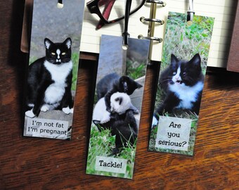 Funny Cat Bookmark