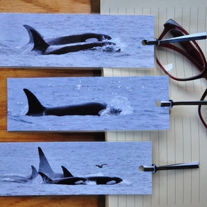Orca Whale Bookmarks