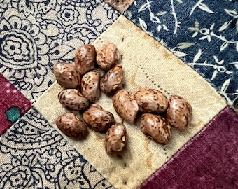 Appalachian Heirloom Greasy Bean Seeds, Organic Non-GMO
