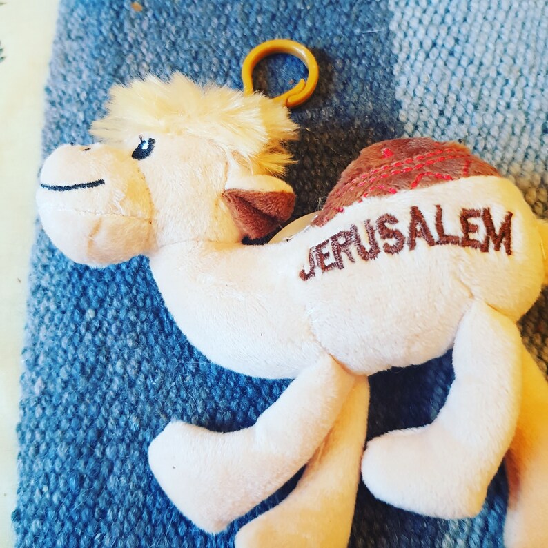 Jerusalem Camel
