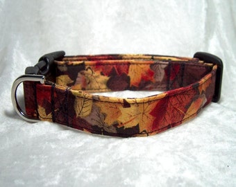 Falling Leaves Dog Collar or Cat Collar
