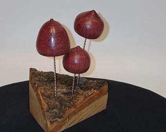 3 Mushroom diorama purpleheart copper and ash