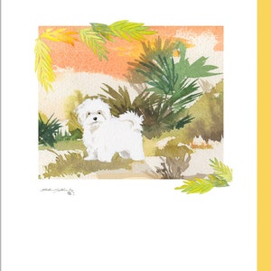 Maltipoo Morning Note Cards