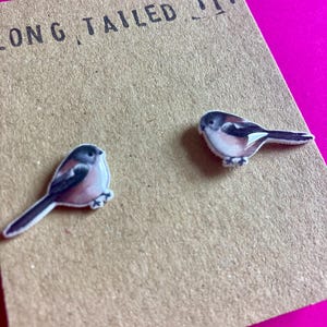 May include: Two Long-tailed Tit bird stickers on a brown card with the text "LONG TAILED TIT". The stickers feature a white, black, and pink bird design with a long tail. The background is a bright pink.