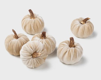 2" Velvet Foam Pumpkins: Champagne - (Set of 6 Pumpkins)