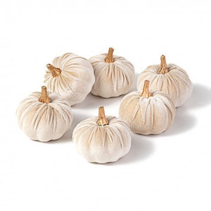 May include: Six small, cream-colored velvet pumpkins with gold stems. The pumpkins are arranged in a circle on a white background.