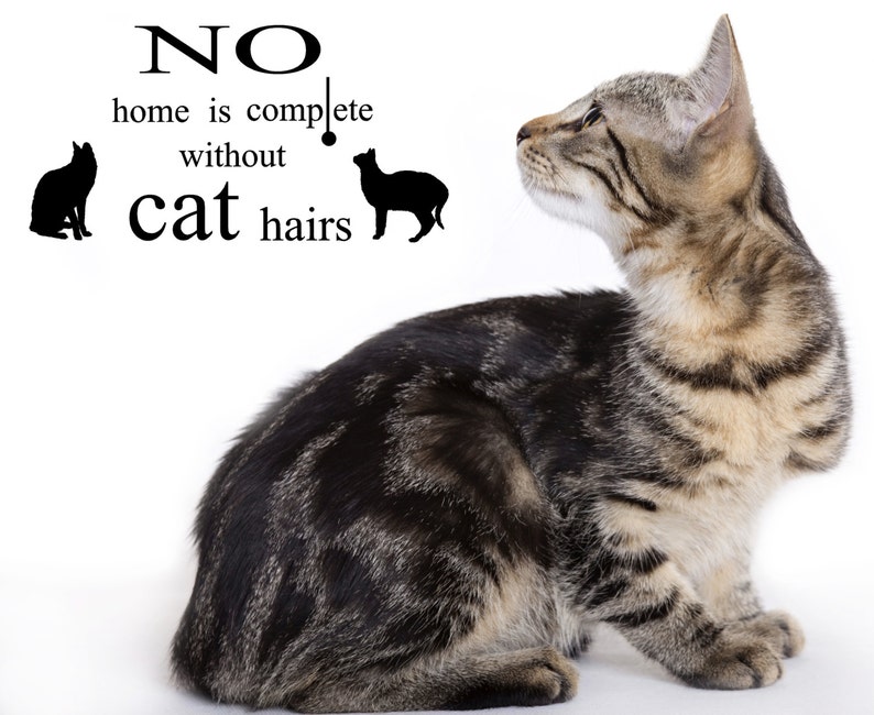 Cat Hairs Vinyl Wall Decal Etsy